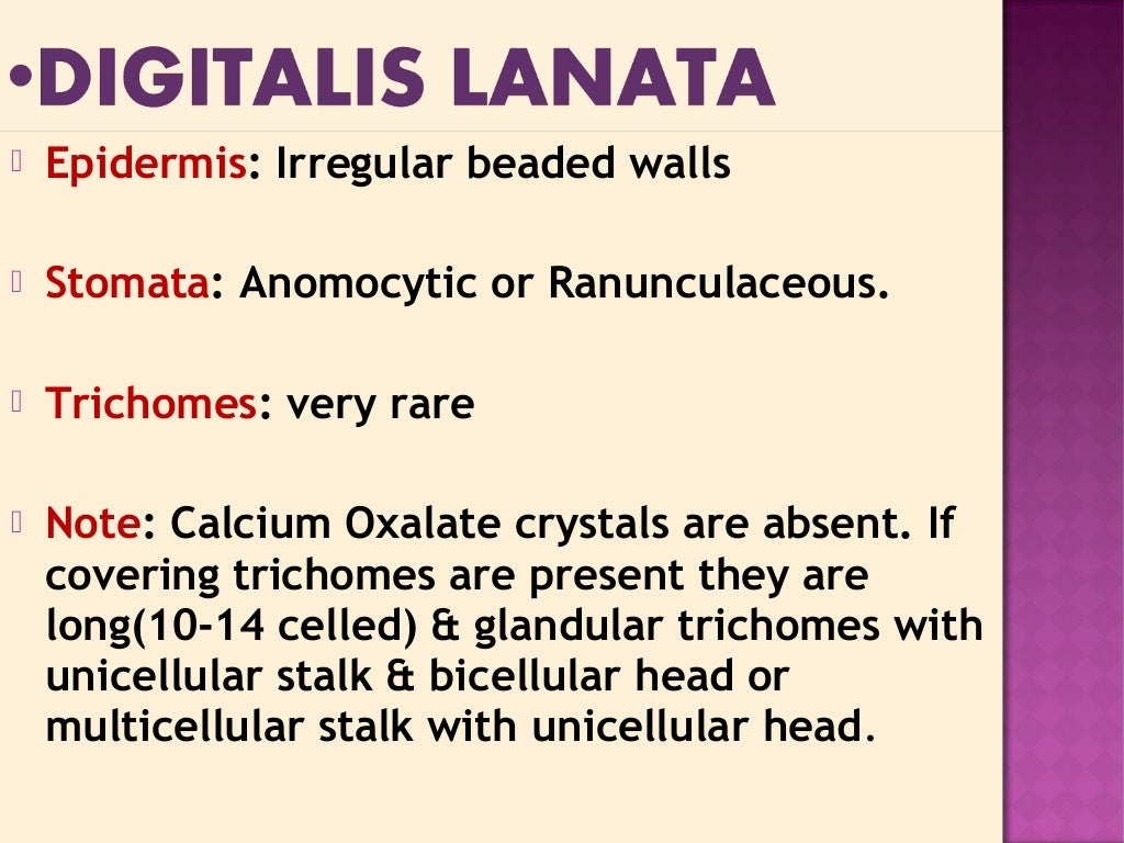 DIGITALIS the glycosidal drug