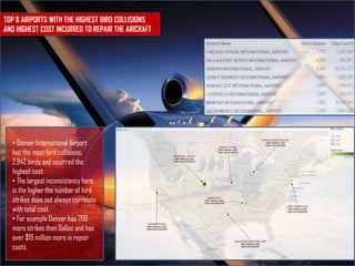 Bird Strikes-Analytic Project | PDF