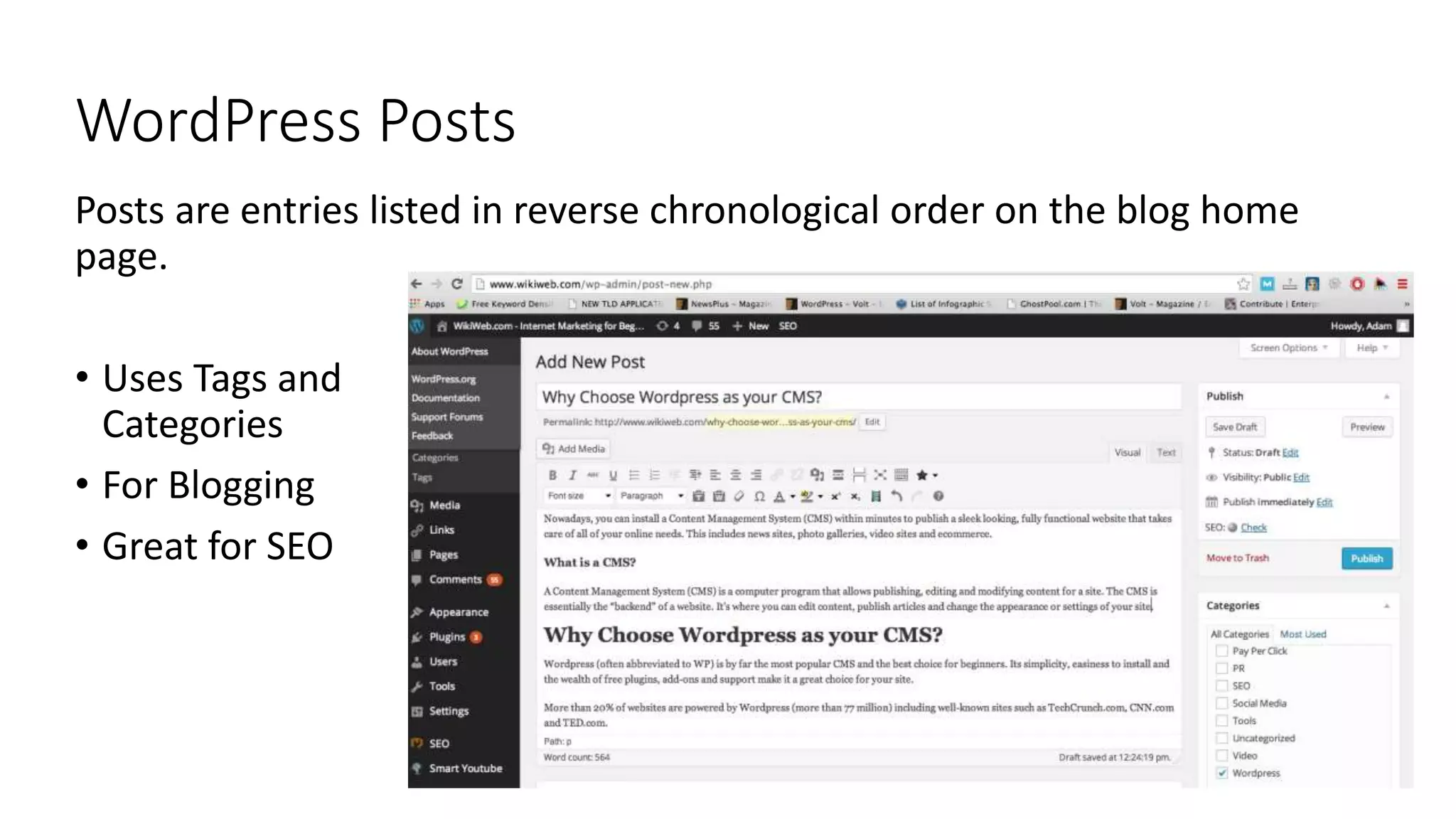 WordPress Posts
Posts are entries listed in reverse chronological order on the blog home
page.
• Uses Tags and
Categories
• For Blogging
• Great for SEO
 