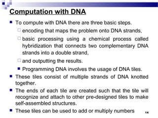 Computation with DNA
 To compute with DNA there are three basic steps.
 encoding that maps the problem onto DNA strands,
 basic processing using a chemical process called
hybridization that connects two complementary DNA
strands into a double strand,
 and outputting the results.
 Programming DNA involves the usage of DNA tiles.
 These tiles consist of multiple strands of DNA knotted
together.
 The ends of each tile are created such that the tile will
recognize and attach to other pre-designed tiles to make
self-assembled structures.
 These tiles can be used to add or multiply numbers 14
 
