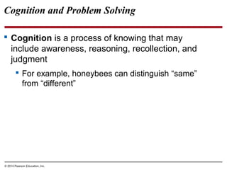 © 2014 Pearson Education, Inc.
Cognition and Problem Solving
 Cognition is a process of knowing that may
include awareness, reasoning, recollection, and
judgment
 For example, honeybees can distinguish “same”
from “different”
 