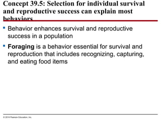 © 2014 Pearson Education, Inc.
Concept 39.5: Selection for individual survival
and reproductive success can explain most
behaviors
 Behavior enhances survival and reproductive
success in a population
 Foraging is a behavior essential for survival and
reproduction that includes recognizing, capturing,
and eating food items
 