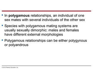 © 2014 Pearson Education, Inc.
 In polygamous relationships, an individual of one
sex mates with several individuals of the other sex
 Species with polygamous mating systems are
usually sexually dimorphic: males and females
have different external morphologies
 Polygamous relationships can be either polygynous
or polyandrous
 