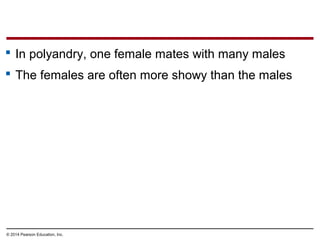 © 2014 Pearson Education, Inc.
 In polyandry, one female mates with many males
 The females are often more showy than the males
 