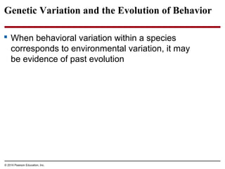 © 2014 Pearson Education, Inc.
Genetic Variation and the Evolution of Behavior
 When behavioral variation within a species
corresponds to environmental variation, it may
be evidence of past evolution
 