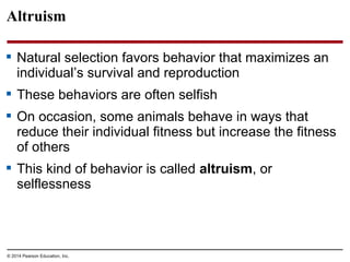 © 2014 Pearson Education, Inc.
 Natural selection favors behavior that maximizes an
individual’s survival and reproduction
 These behaviors are often selfish
 On occasion, some animals behave in ways that
reduce their individual fitness but increase the fitness
of others
 This kind of behavior is called altruism, or
selflessness
Altruism
 