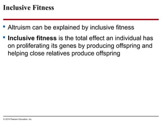 © 2014 Pearson Education, Inc.
Inclusive Fitness
 Altruism can be explained by inclusive fitness
 Inclusive fitness is the total effect an individual has
on proliferating its genes by producing offspring and
helping close relatives produce offspring
 