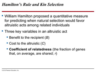 © 2014 Pearson Education, Inc.
Hamilton’s Rule and Kin Selection
 William Hamilton proposed a quantitative measure
for predicting when natural selection would favor
altruistic acts among related individuals
 Three key variables in an altruistic act
 Benefit to the recipient (B)
 Cost to the altruistic (C)
 Coefficient of relatedness (the fraction of genes
that, on average, are shared; r)
 