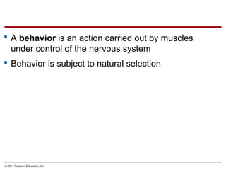 © 2014 Pearson Education, Inc.
 A behavior is an action carried out by muscles
under control of the nervous system
 Behavior is subject to natural selection
 