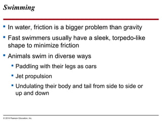 © 2014 Pearson Education, Inc.
Swimming
 In water, friction is a bigger problem than gravity
 Fast swimmers usually have a sleek, torpedo-like
shape to minimize friction
 Animals swim in diverse ways
 Paddling with their legs as oars
 Jet propulsion
 Undulating their body and tail from side to side or
up and down
 