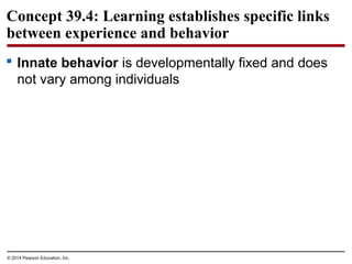 © 2014 Pearson Education, Inc.
Concept 39.4: Learning establishes specific links
between experience and behavior
 Innate behavior is developmentally fixed and does
not vary among individuals
 