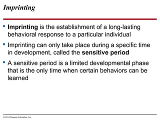 © 2014 Pearson Education, Inc.
Imprinting
 Imprinting is the establishment of a long-lasting
behavioral response to a particular individual
 Imprinting can only take place during a specific time
in development, called the sensitive period
 A sensitive period is a limited developmental phase
that is the only time when certain behaviors can be
learned
 