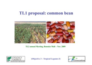 TL1 proposal: common bean




  TL2 annual Meeting, Bamako Mali – Nov. 2009




        (Objective 3 – Tropical Legumes I)
 