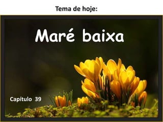 Tema de hoje:
Maré baixa
Capítulo 39
 