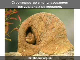 Строительство с использованием
натуральных материалов.
hatabobriv.org.ua
 