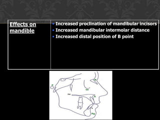 Effects on
mandible
• Increased proclination of mandibular incisors
• Increased mandibular intermolar distance
• Increased distal position of B point
 