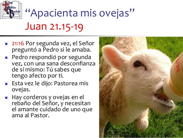 Resultado de imagen para Juan 21,15-19