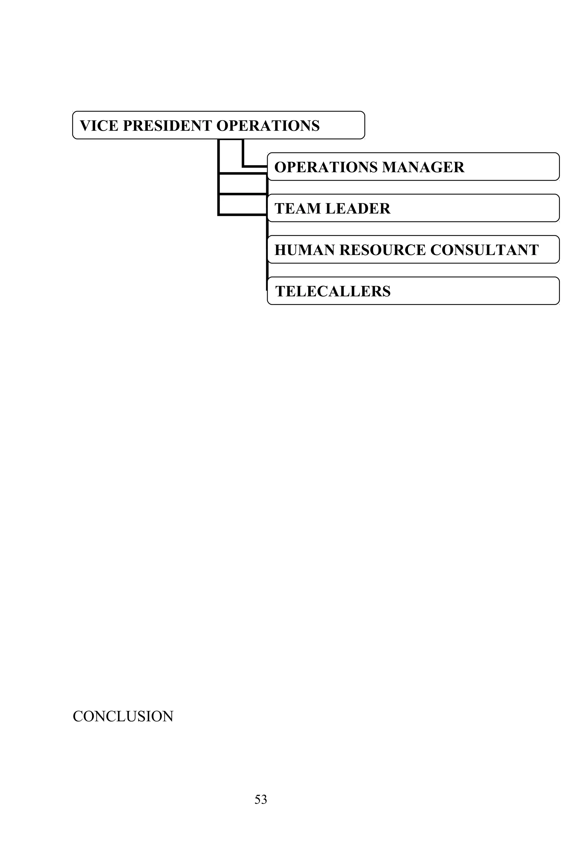 CONCLUSION
53
VICE PRESIDENT OPERATIONS
OPERATIONS MANAGER
TEAM LEADER
HUMAN RESOURCE CONSULTANT
TELECALLERS
 