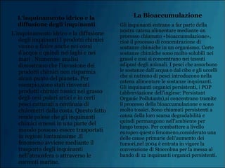 L’inquinamento idrico e la diffusione
degli inquinanti I prodotti chimici
vanno a finire anche nei corsi
d’acqua e quindi nei laghi e nei
mari . Numerose analisi
dimostrano che l’invasione dei
prodotti chimici non risparmia
alcun punto del pianeta. Per
esempio,sono stati rinvenuti
prodotti chimici tossici nel grasso
degli orsi polari artici e in certi
pesci catturati a centinaia di
chilometri dalla costa. Questo fatto
rende palese che gli inquinanti
chimici emessi in una parte del
mondo possono essere trasportati
in regioni lontanissime .Il
fenomeno avviene mediante il
trasporto degli inquinanti
nell’atmosfera o attraverso le
correnti marine.
L'inquinamento idrico e la
diffusione degli inquinanti
La Bioaccumulazione
Gli inquinanti entrano a far parte della
nostra catena alimentare mediante un
processo chiamato «bioaccumulazione»,
cioè il processo di concentrazione di
sostanze chimiche in un organismo. Certe
sostanze chimiche sono molto solubili nei
grassi e così si concentrano nei tessuti
adiposi degli animali. I pesci che assorbono
le sostanze dall’acqua o dal cibo e gli uccelli
che si nutrono di pesci introducono nella
catena alimentare le sostanze inquinanti.
Gli inquinanti organici persistenti, i POP
(abbreviazione dell’inglese: Persistant
Organic Pollutants),si concentrano tramite
il processo della bioaccumulazione e sono
molto tossici. Sono chiamati persistenti a
causa della loro scarsa degradabilità e
quindi permangono nell’ambiente per
lungo tempo. Per combattere a livello
europeo questo fenomeno,considerato una
delle cause primarie dell’aumento dei
tumori,nel 2004 è entrata in vigore la
convenzione di Stoccolma per la messa al
bando di 12 inquinanti organici persistenti.
 