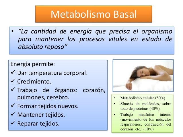 Vivir con metabolismo biologia