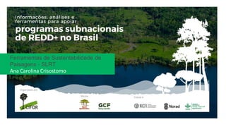 Ferramentas de Sustentabilidade de
Paisagens - SLRT
Ana Carolina Crisostomo
 