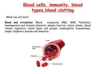 Blood cells, immunity, blood
types,blood clotting
Blood and circulation: Blood corpuscles (RBC, WBC, Platelets),
haemopoiesis and formed elements, plasma function, blood volume, blood
volume regulation, blood types and groups, haemoglobin, haemostasis,
lymph, lymphatic system and immunity
What you will learn:
 