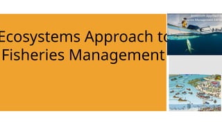 Ecosystem Approach to Fisheries Management | PPTX