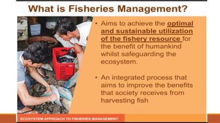 Ecosystem Approach to Fisheries Management | PPTX