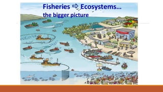 Ecosystem Approach to Fisheries Management | PPTX