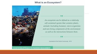 Ecosystem Approach to Fisheries Management | PPTX