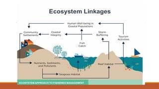 Ecosystem Approach to Fisheries Management | PPTX