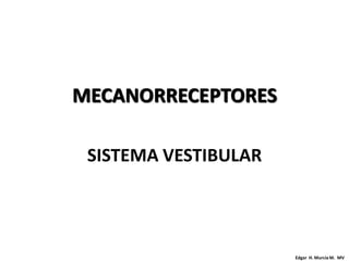 MECANORRECEPTORES

 SISTEMA VESTIBULAR




                      Edgar H. Murcia M. MV
 