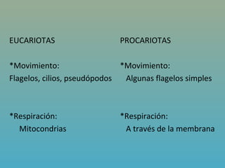 EUCARIOTAS                    PROCARIOTAS

*Movimiento:                  *Movimiento:
Flagelos, cilios, pseudópodos  Algunas flagelos simples



*Respiración:                 *Respiración:
  Mitocondrias                 A través de la membrana
 