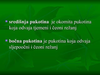 središnja pukotina   je okomita pukotina koja odvaja tjemeni i čeoni režanj  bočna pukotina  je pukotina koja odvaja sljepoočni i čeoni režanj 