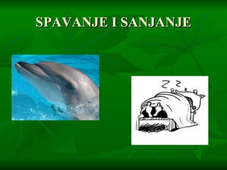 SPAVANJE I SANJANJE 