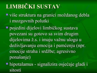 LIMBIČKI SUSTAV više struktura na granici moždanog debla i mozgovnih polutki pojedini dijelovi limbičkog sustava povezani su gotovo sa svim drugim dijelovima ž.s. i imaju važnu ulogu u doživljavanju emocija i pamćenju (npr. emocije straha i srdžbe; agresivno ponašanje) hipotalamus - signalizira osjećaje gladi i sitosti 