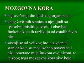 MOZGOVNA KORA najsavršeniji dio ljudskog organizma  zbog živčanih stanica u njoj ljudi su sposobni misliti, govoriti i obavljati funkcije koje ih razlikuju od ostalih živih bića  sastoji se od velikog broja živčanih stanica koje su međusobno povezane i nisu omotane mijelinskom ovojnicom, te je zbog toga mozgovna kora sive boje  