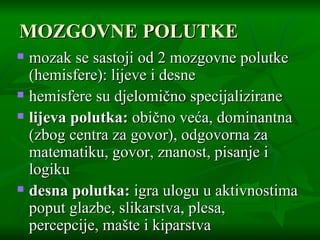 MOZGOVNE POLUTKE mozak se sastoji od 2 mozgovne polutke (hemisfere): lijeve i desne hemisfere su djelomično specijalizirane lijeva polutka:  obično veća, dominantna (zbog centra za govor), odgovorna za matematiku, govor, znanost, pisanje i logiku desna polutka:  igra ulogu u aktivnostima poput glazbe, slikarstva, plesa, percepcije, mašte i kiparstva 