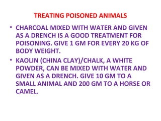 TREATING POISONED ANIMALS CHARCOAL MIXED WITH WATER AND GIVEN AS A DRENCH IS A GOOD TREATMENT FOR POISONING. GIVE 1 GM FOR EVERY 20 KG OF BODY WEIGHT.  KAOLIN (CHINA CLAY)/CHALK, A WHITE POWDER, CAN BE MIXED WITH WATER AND GIVEN AS A DRENCH. GIVE 10 GM TO A SMALL ANIMAL AND 200 GM TO A HORSE OR CAMEL. 
