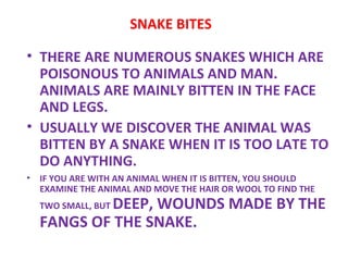 SNAKE BITES  THERE ARE NUMEROUS SNAKES WHICH ARE POISONOUS TO ANIMALS AND MAN. ANIMALS ARE MAINLY BITTEN IN THE FACE AND LEGS.  USUALLY WE DISCOVER THE ANIMAL WAS BITTEN BY A SNAKE WHEN IT IS TOO LATE TO DO ANYTHING.  IF YOU ARE WITH AN ANIMAL WHEN IT IS BITTEN, YOU SHOULD EXAMINE THE ANIMAL AND MOVE THE HAIR OR WOOL TO FIND THE TWO SMALL, BUT  DEEP, WOUNDS MADE BY THE FANGS OF THE SNAKE.  