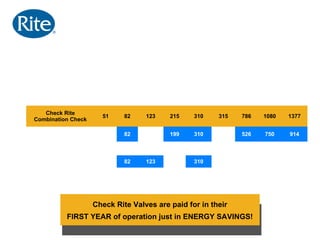 Ritepro Check Valves | PPT