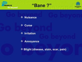 “ Bane ?” Nuisance Curse Irritation Annoyance Blight (disease, stain, scar, pain) 