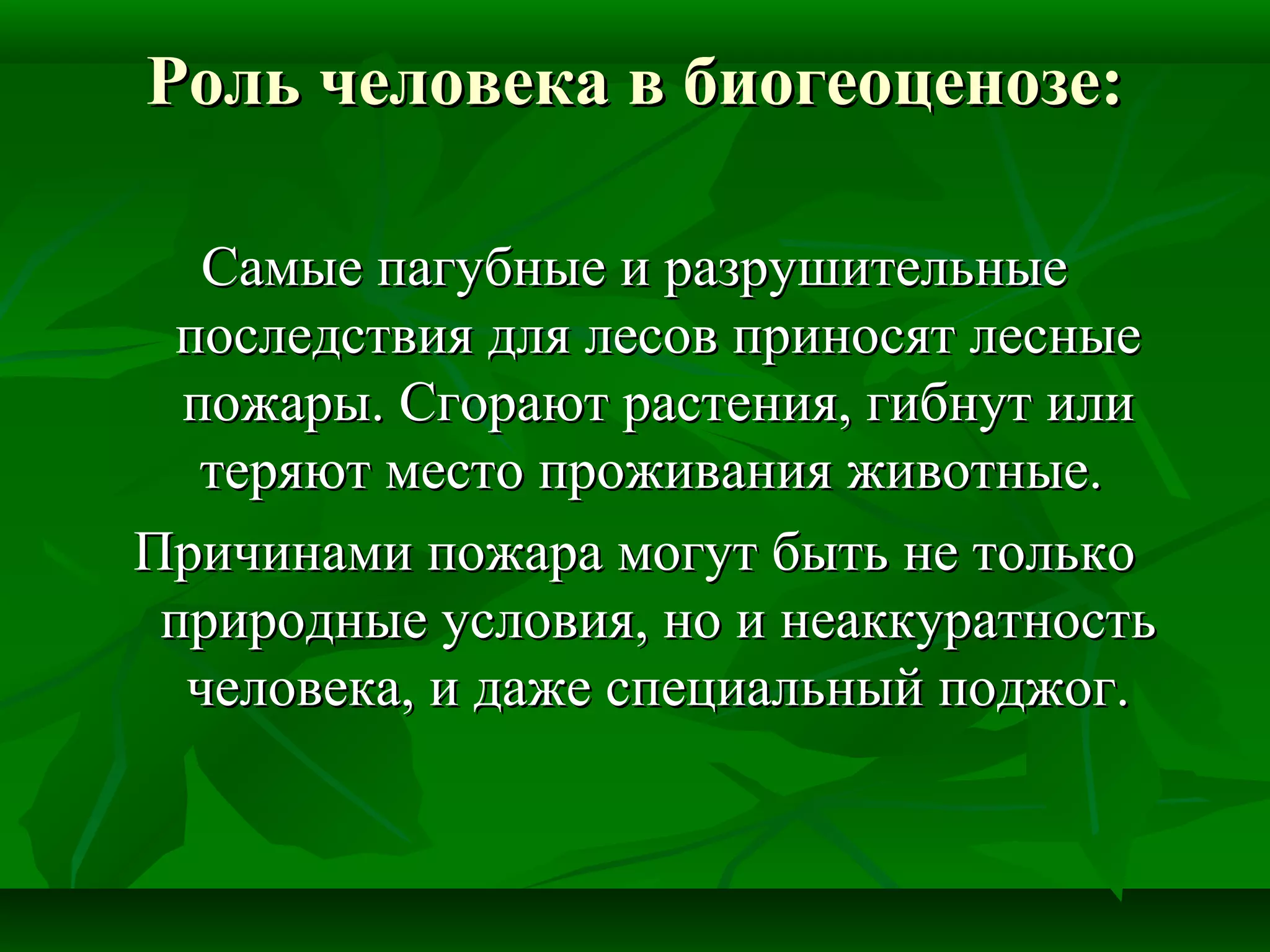 Роль человека в биогеоценозе:Роль человека в биогеоценозе:
Самые пагубные и разрушительныеСамые пагубные и разрушительные
последствия для лесов приносят лесныепоследствия для лесов приносят лесные
пожары. Сгорают растения, гибнут илипожары. Сгорают растения, гибнут или
теряют место проживания животные.теряют место проживания животные.
Причинами пожара могут быть не толькоПричинами пожара могут быть не только
природные условия, но и неаккуратностьприродные условия, но и неаккуратность
человека, и даже специальный поджог.человека, и даже специальный поджог.
 