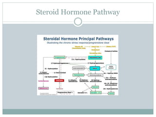 Steroid Hormone Pathway
 