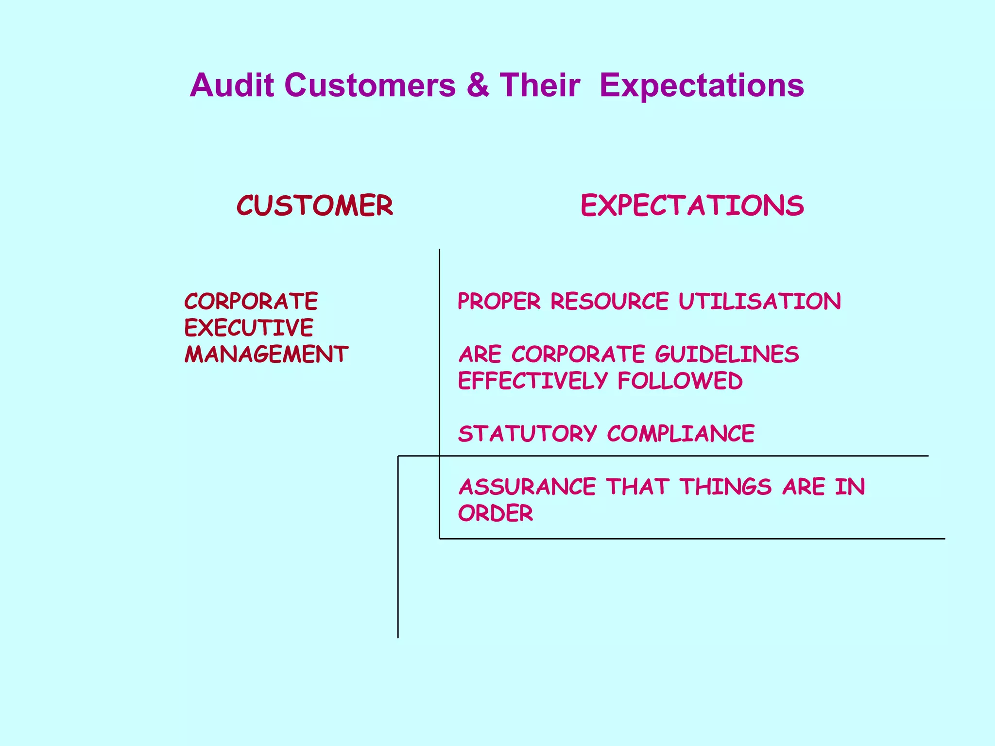 CUSTOMER CORPORATE EXECUTIVE MANAGEMENT EXPECTATIONS PROPER RESOURCE UTILISATION ARE CORPORATE GUIDELINES EFFECTIVELY FOLLOWED STATUTORY COMPLIANCE ASSURANCE THAT THINGS ARE IN ORDER Audit Customers & Their  Expectations 