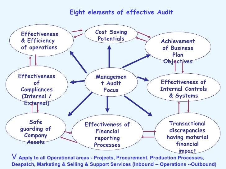 business internal audit examples