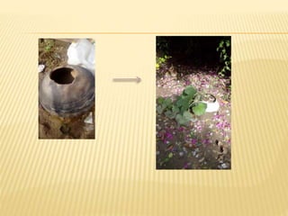 Waste Utilization For Low Income Communities