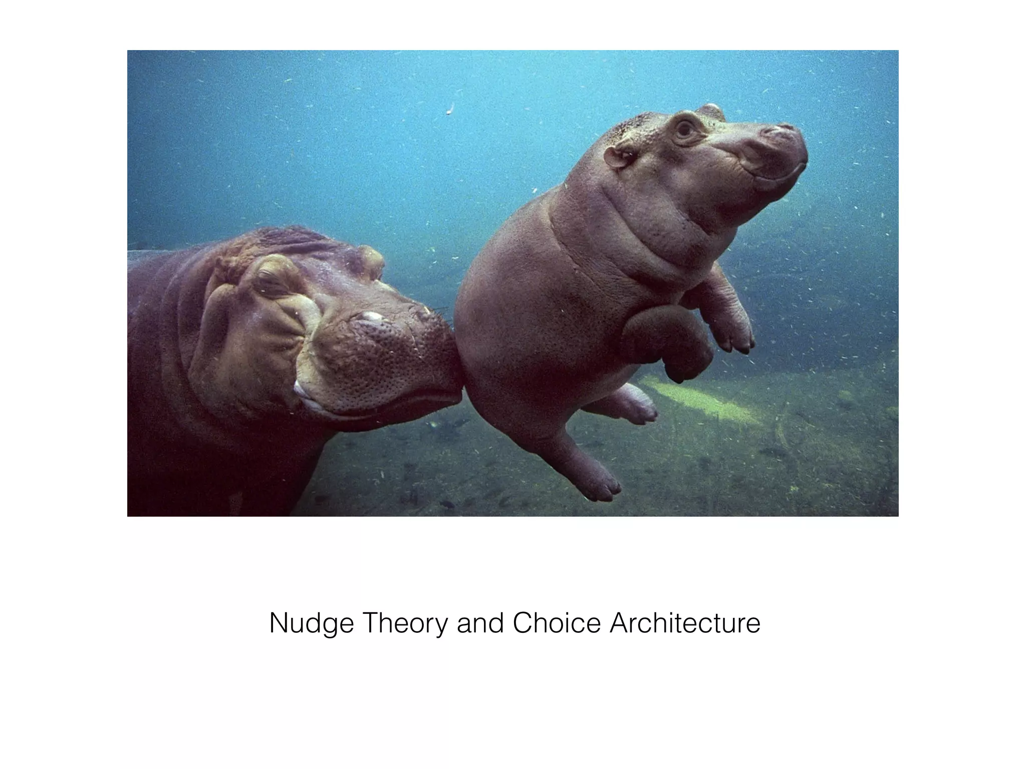 Nudge Theory and Choice Architecture
 