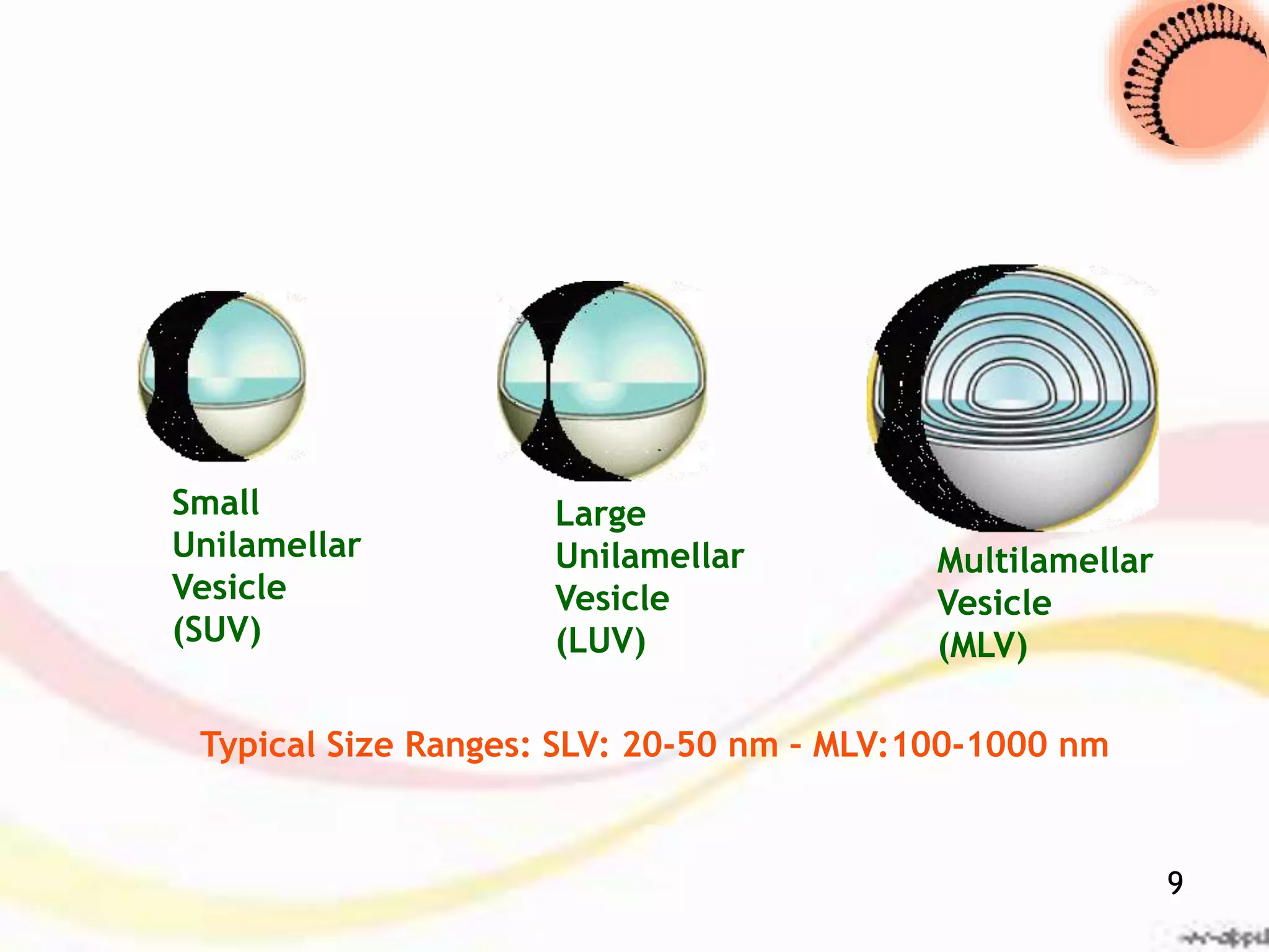 Small
Unilamellar
Vesicle
(SUV)
Large
Unilamellar
Vesicle
(LUV)
Multilamellar
Vesicle
(MLV)
Typical Size Ranges: SLV: 20-50 nm – MLV:100-1000 nm
9
 