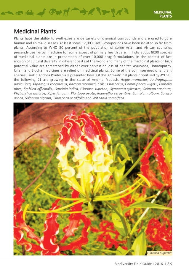 A.P.Biodiversity Field Guide A.P.Biodiversity Field Guide